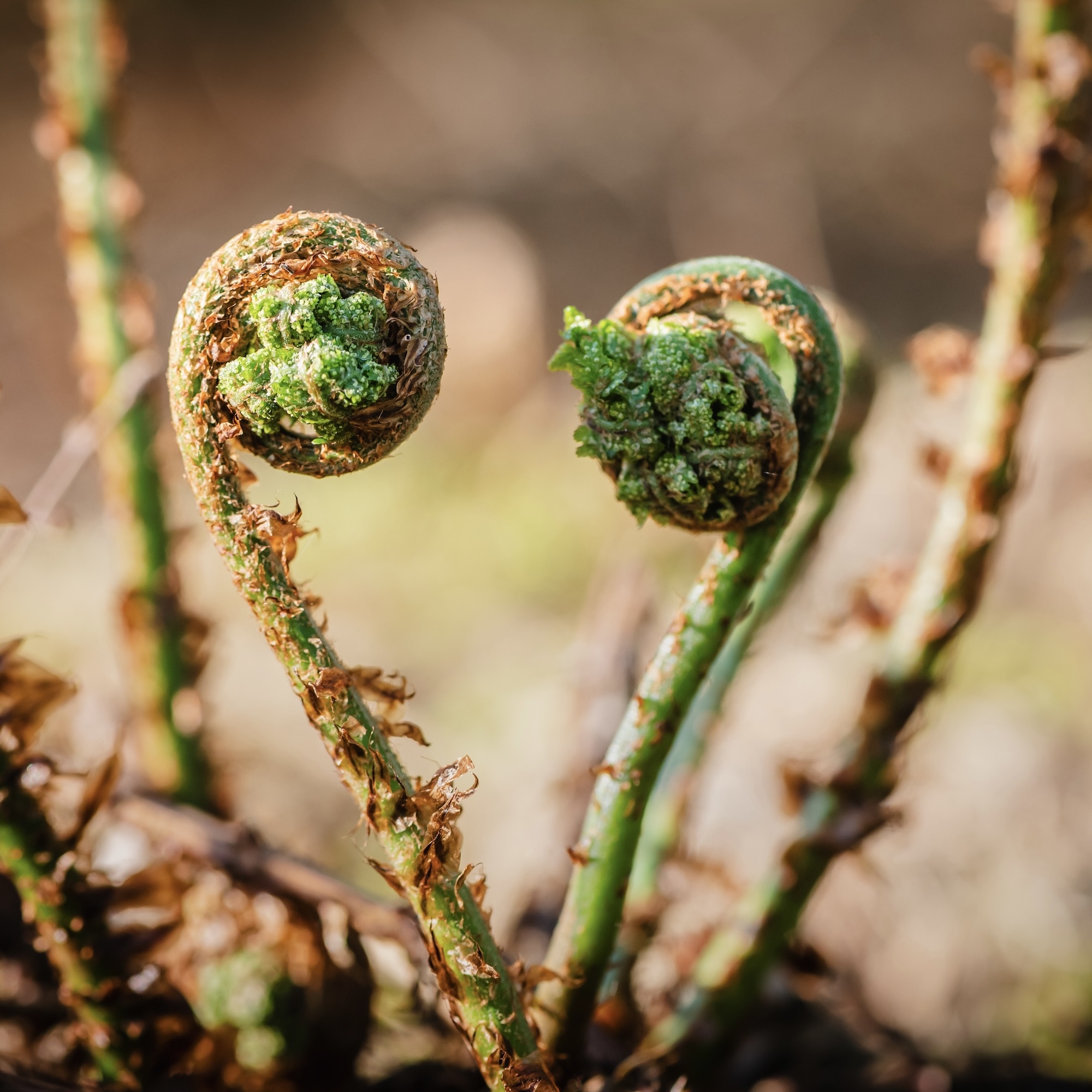 Waarom kies je voor ons
